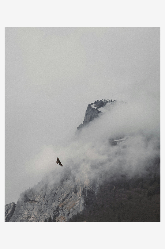 山间云雾中飞鸟掠过-众图网