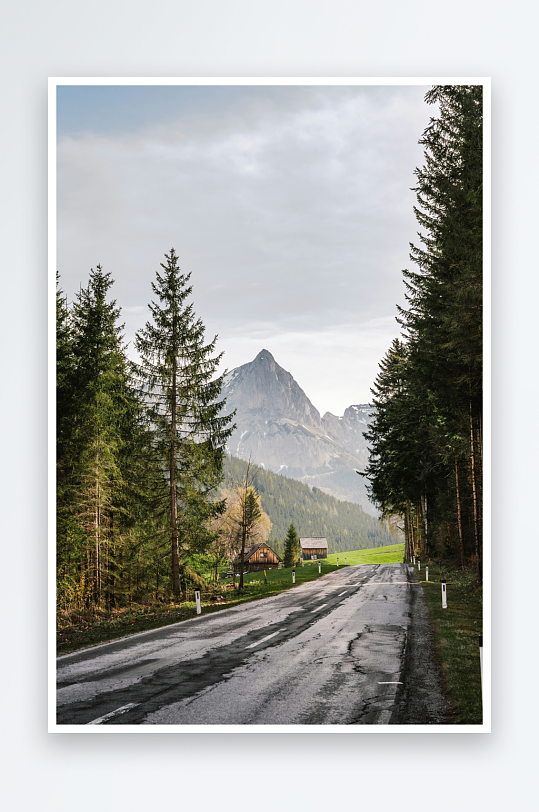 山间公路与森林景观-众图网