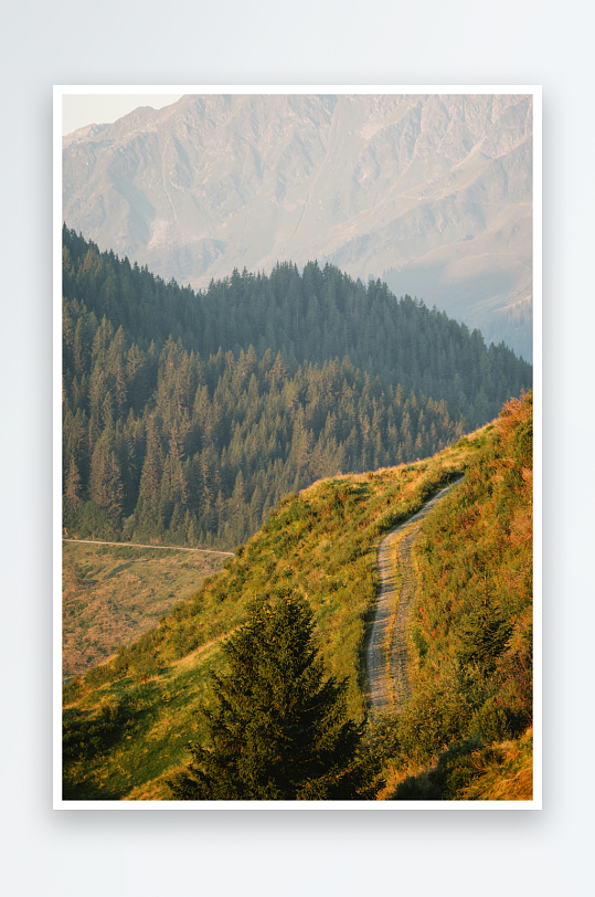 山间小径穿行于森林与山坡-众图网