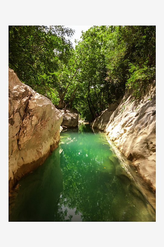 峡谷溪流绿意盎然-众图网