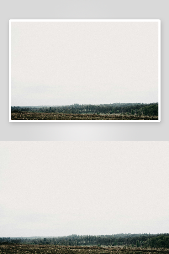 开阔田野与远处树林-众图网