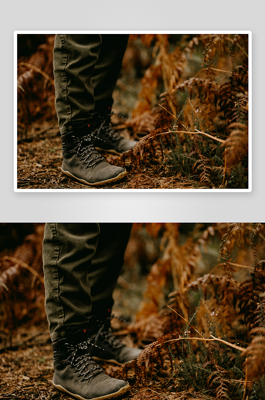 徒步者在秋林中的脚步-众图网