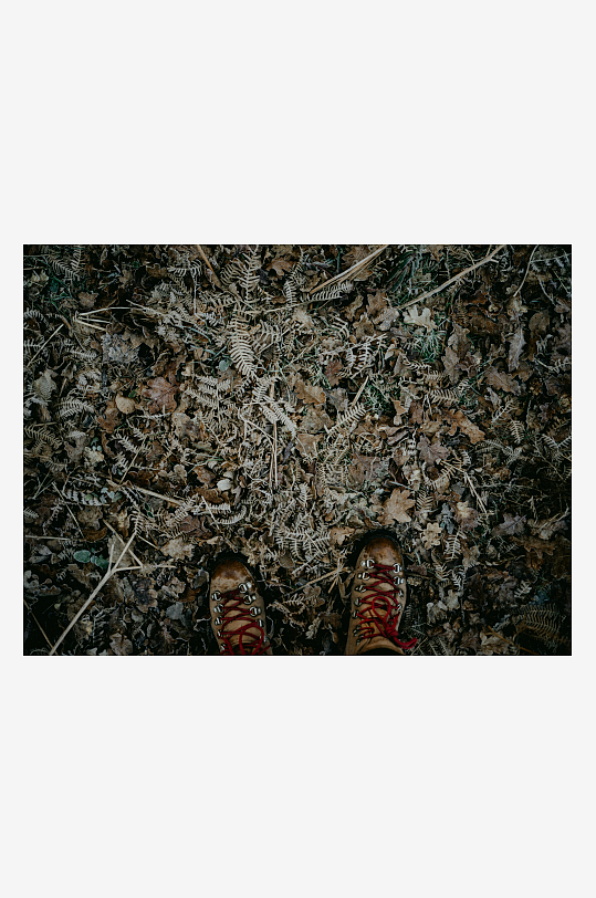 徒步鞋踩在落叶覆盖的地面-众图网