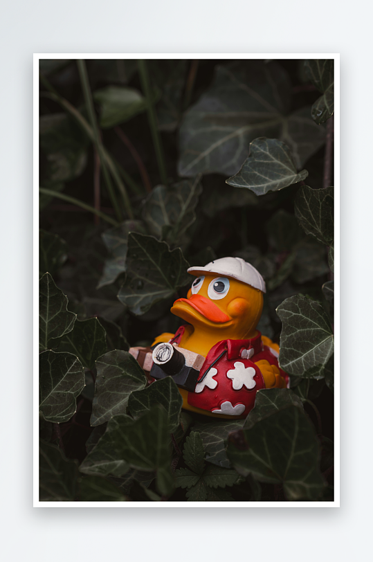 戴帽橡皮鸭藏于绿叶中-众图网