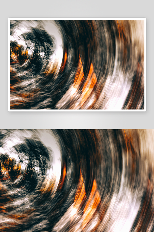 旋转森林光影效果-众图网