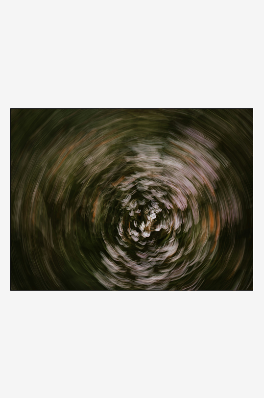 旋转森林漩涡景象-众图网