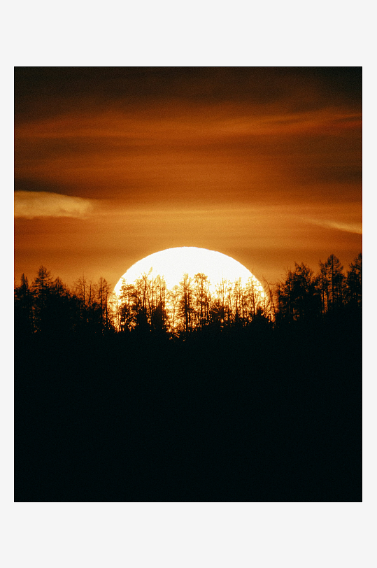 日落时分森林剪影-众图网