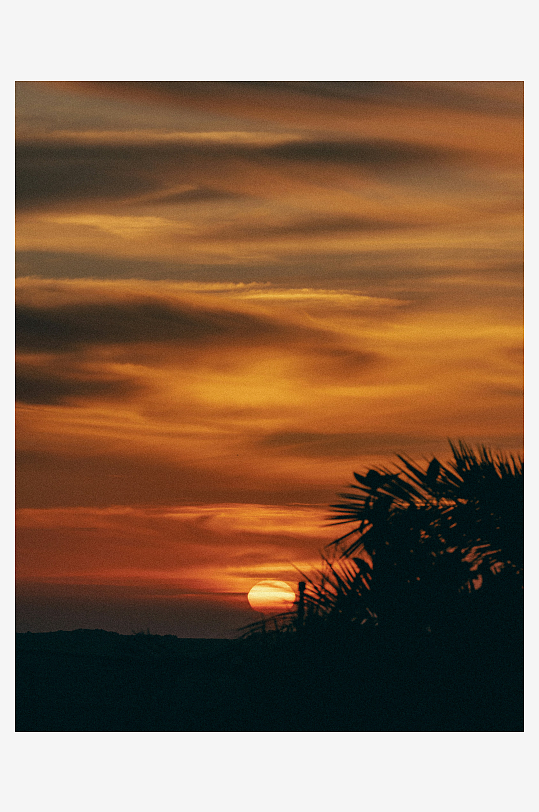 日落时分的天空与棕榈树剪影-众图网