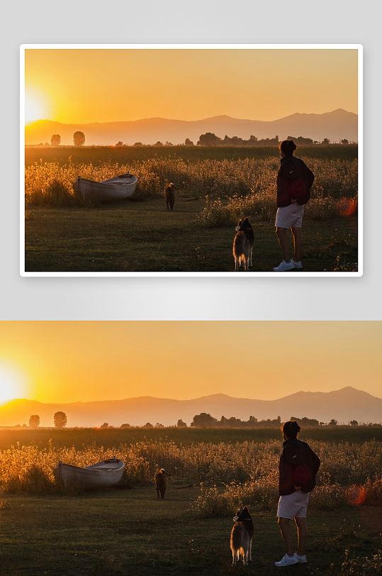 日落田野中人与狗的剪影-众图网