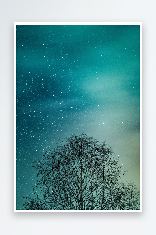 星空下的树木剪影-众图网