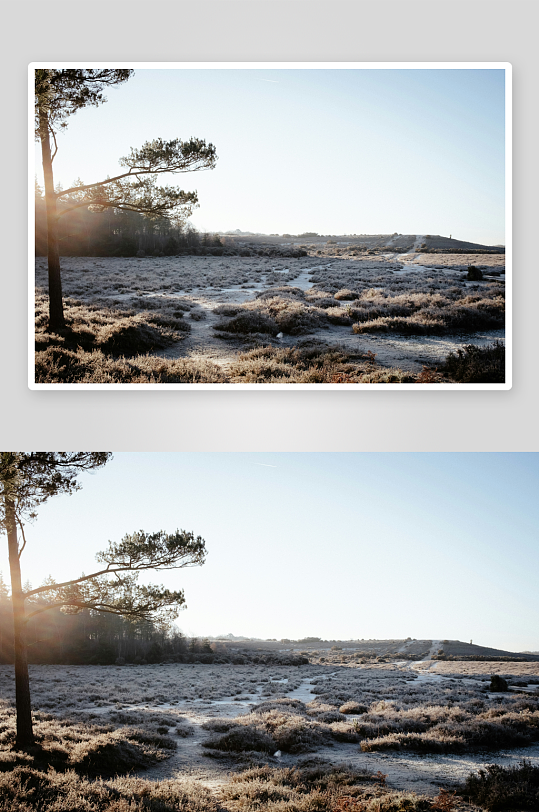 晨霜覆盖的荒野小径-众图网