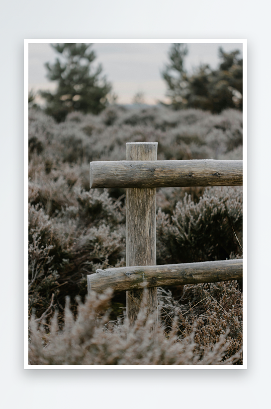 木栅栏与灌木丛的自然景象-众图网