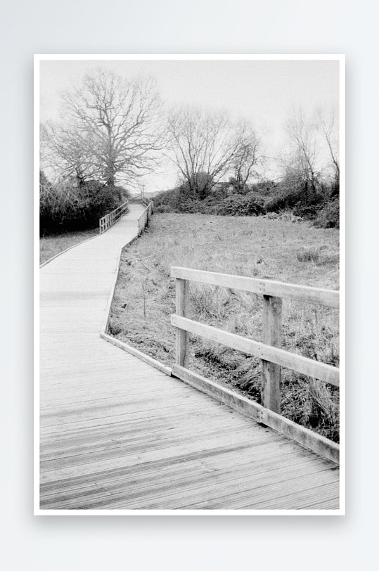 木栈道蜿蜒穿过草地-众图网