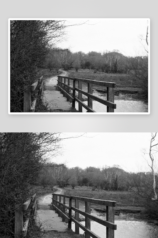 木桥旁的小径与溪流-众图网