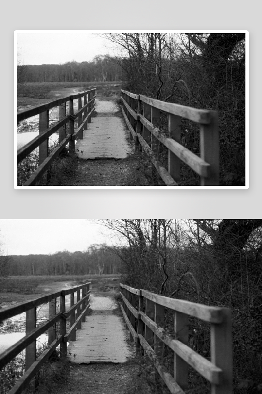 木桥通往林间小径-众图网