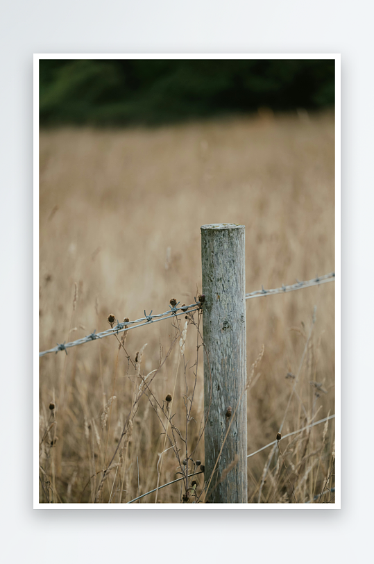 木桩与铁丝网的田野景象-众图网
