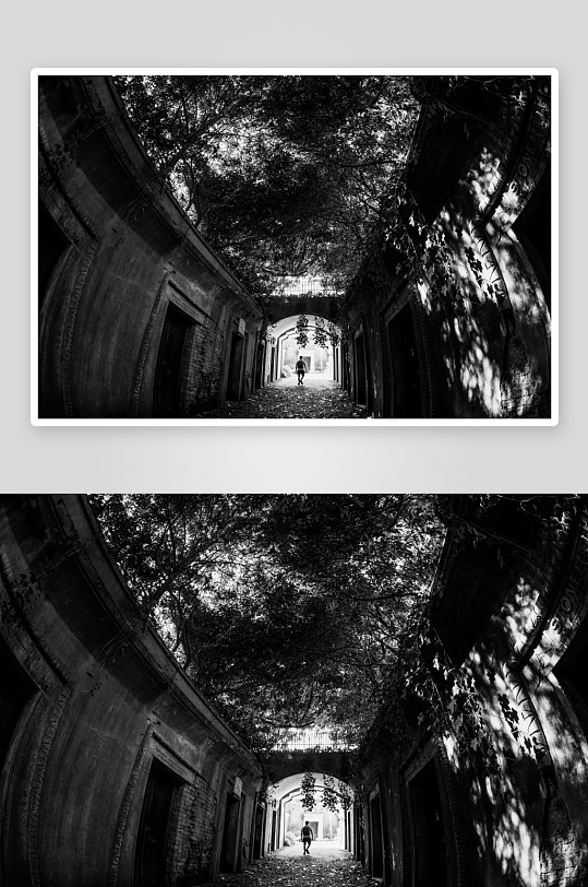林荫拱廊中孤独行人-众图网