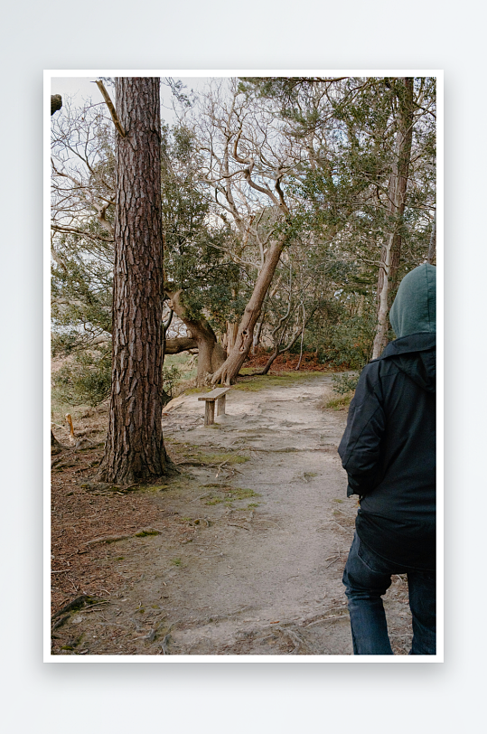 林间小径上的人影-众图网