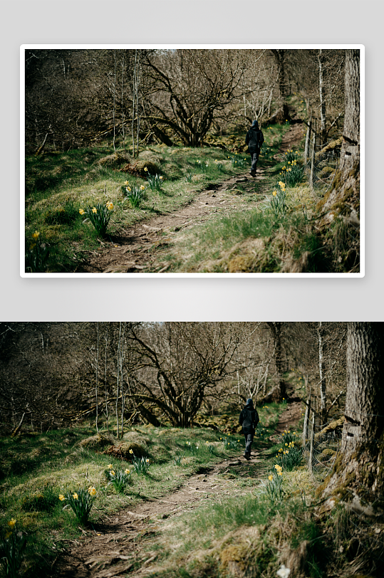 林间小径上行走的人-众图网