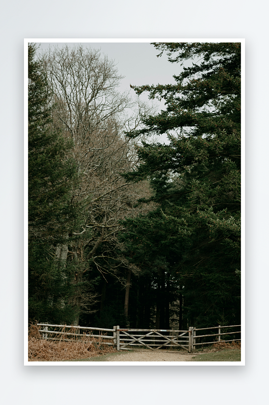 林间小径与木栅栏-众图网