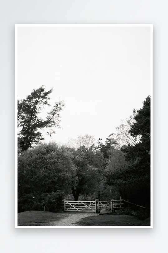 林间小径与木栅门-众图网