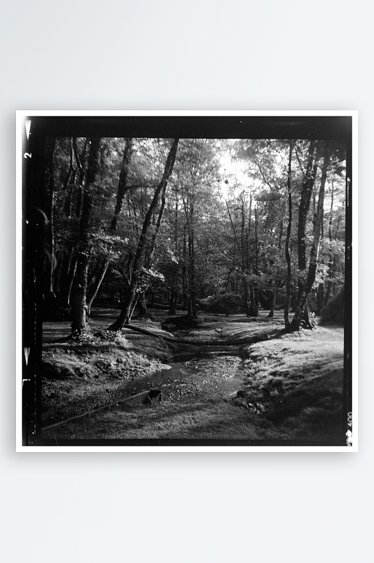 林间小径与溪流的黑白影像-众图网