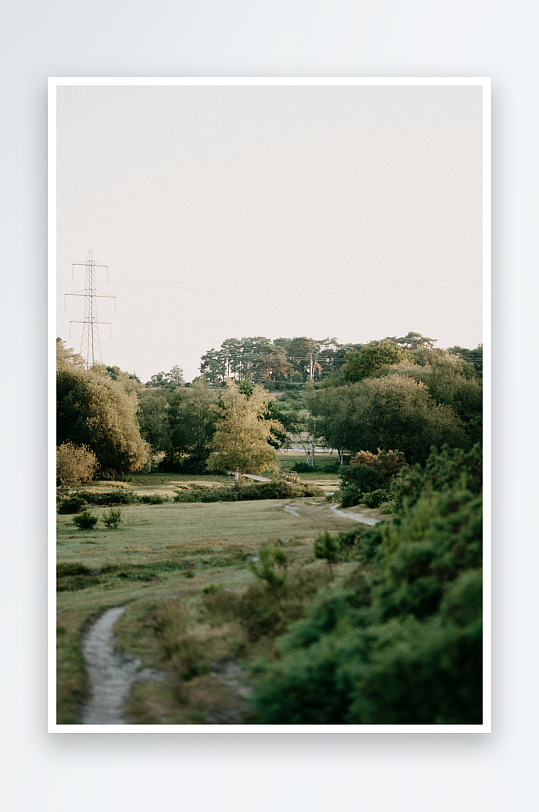 林间小径与自然风光-众图网