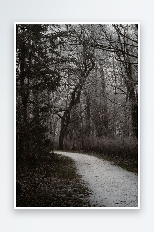 林间小径冬日景象-众图网