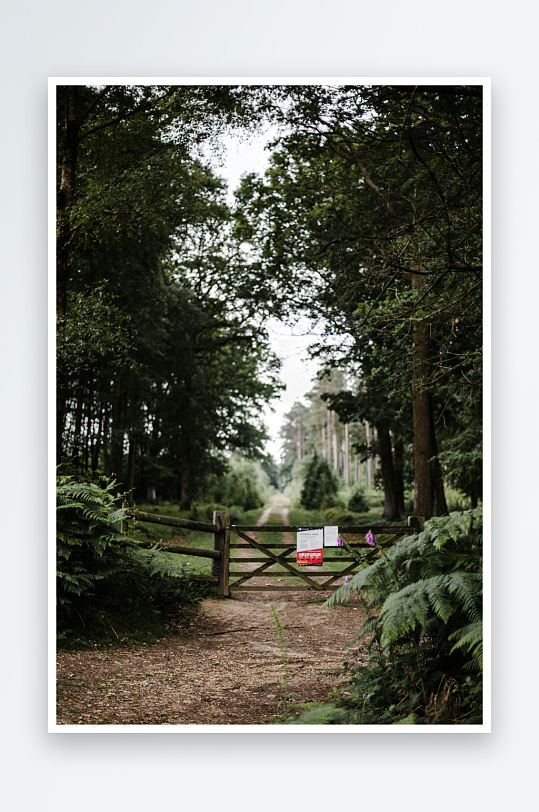 林间小径木门入口-众图网