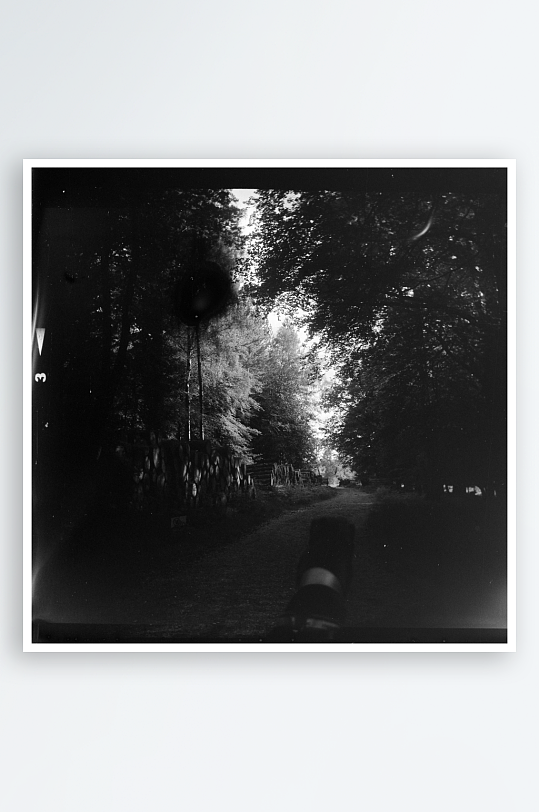 林间小径的黑白影像-众图网