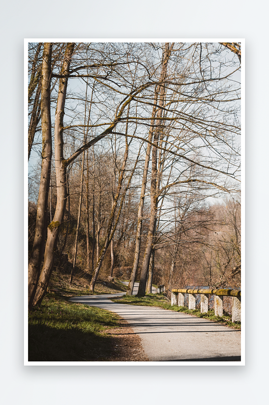 林间小径秋日风光-众图网