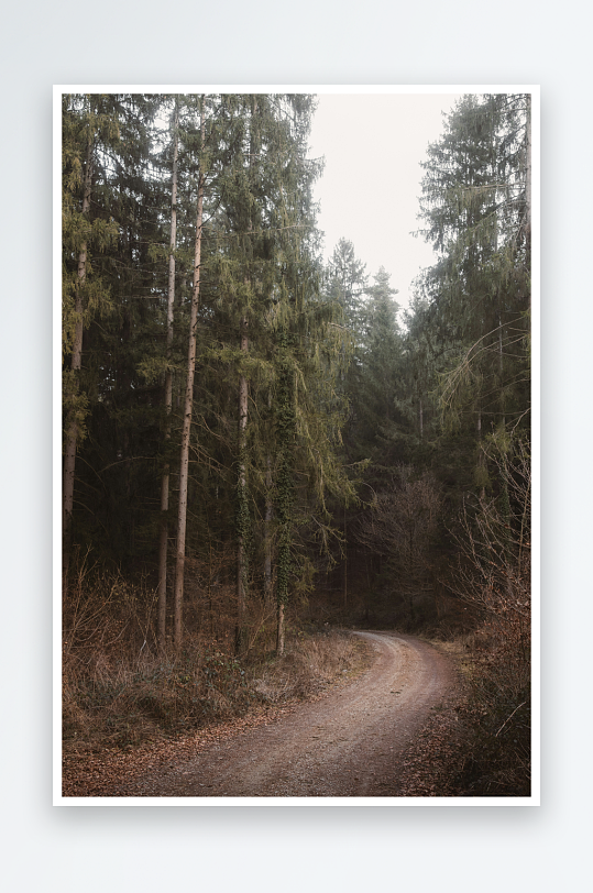 林间小径蜿蜒前行-众图网