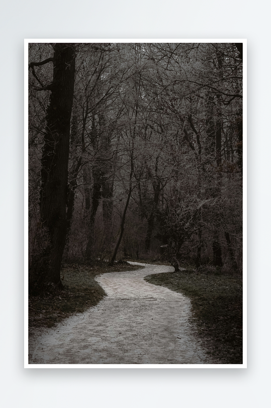 林间小径蜿蜒曲折-众图网