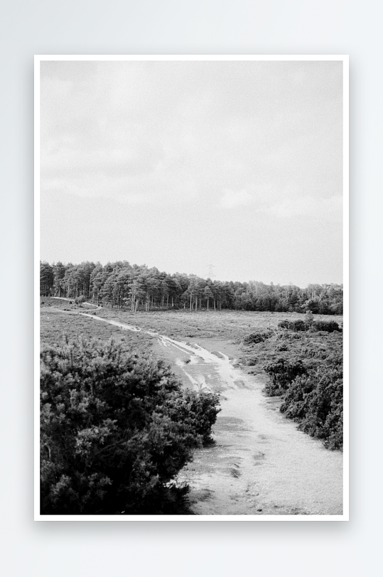 林间小径蜿蜒穿过草地-众图网