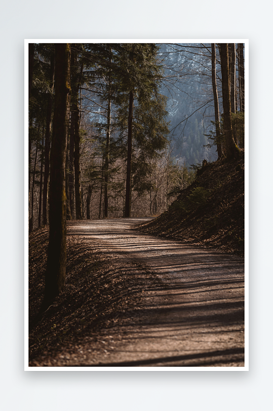 林间小径阳光斑驳-众图网