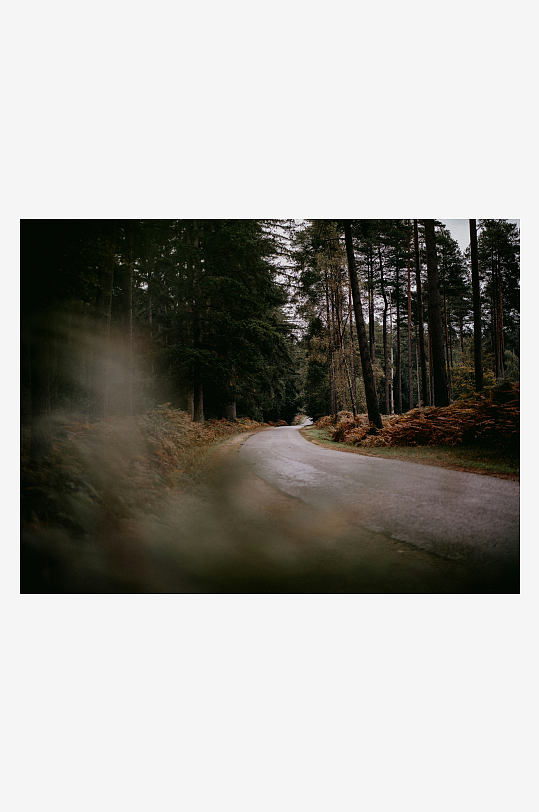 林间小路蜿蜒前行-众图网