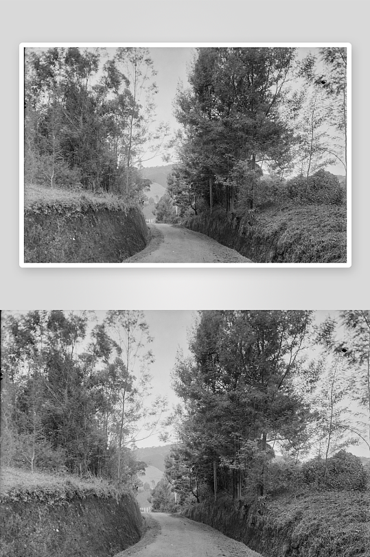 林间小路蜿蜒通向远方-众图网