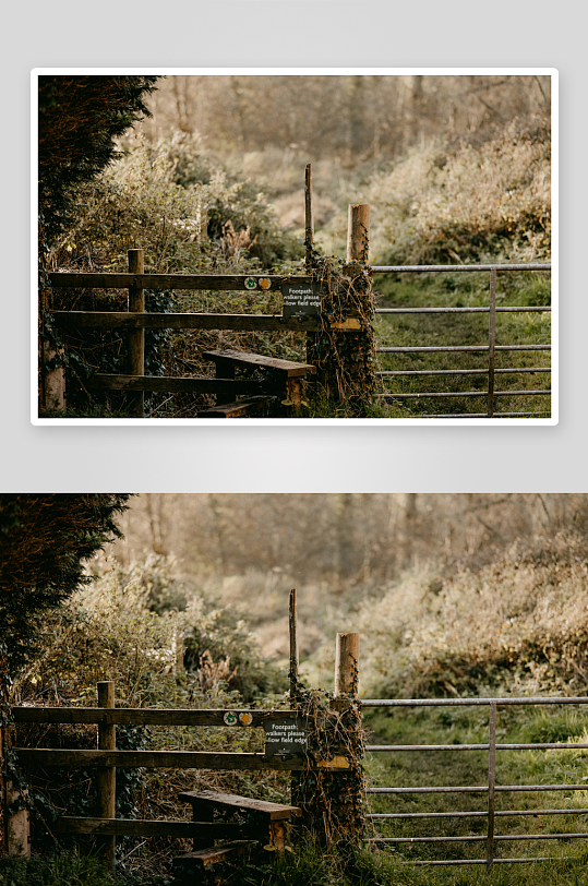 林间木栅栏与长椅-众图网