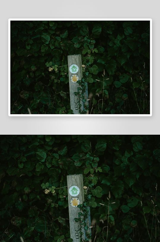 林间木桩上的圆形标识-众图网