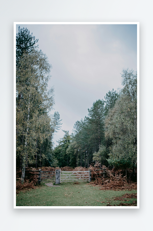 林间木门与秋日小径-众图网