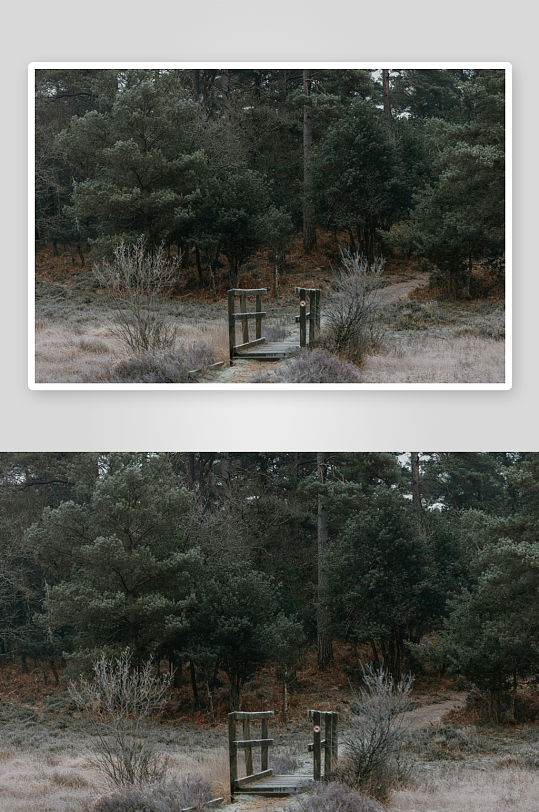 林间木门与荒野小径-众图网