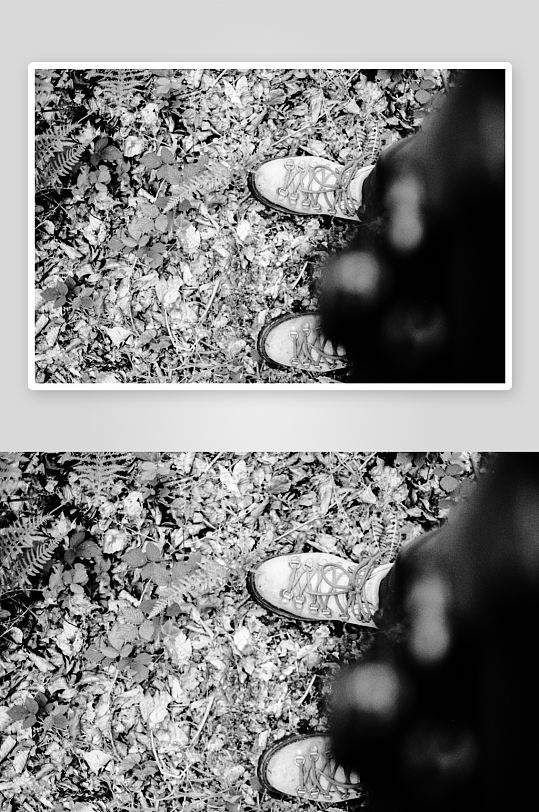 林间落叶上的徒步鞋-众图网