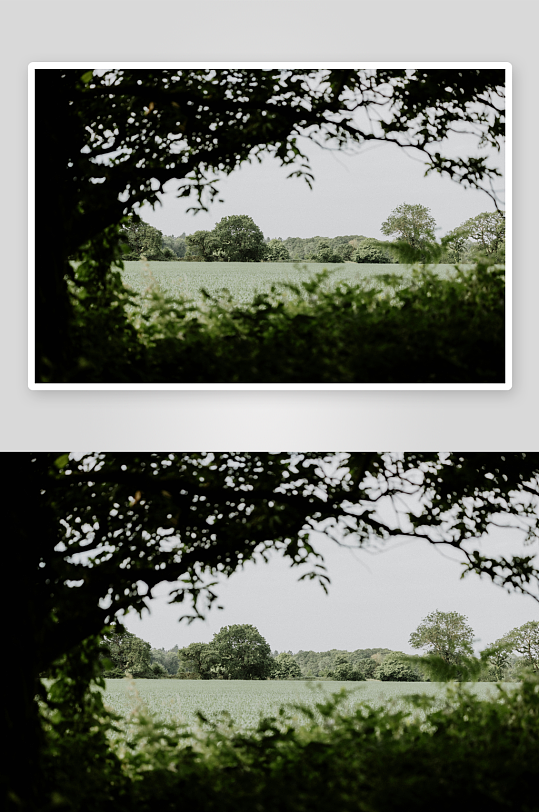 林间远眺绿野风光-众图网