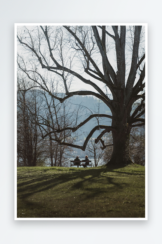 树下两人静坐湖畔-众图网