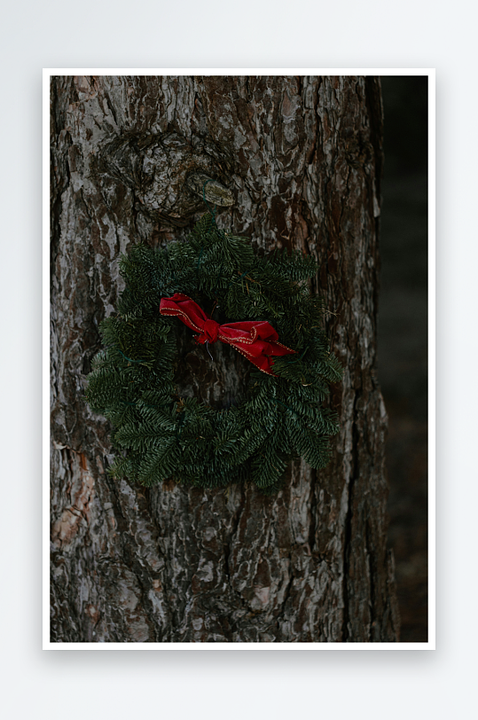 树干上的圣诞花环-众图网