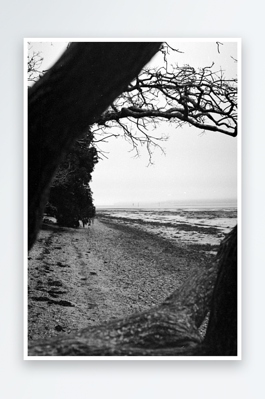 树影下的荒野小径-众图网