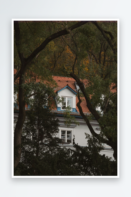 树木掩映中的白色房屋-众图网