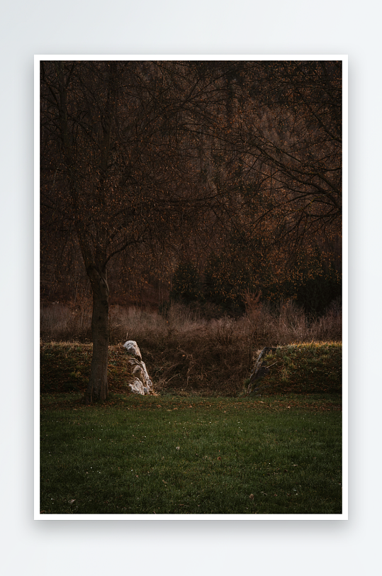 树林中的白色石雕-众图网