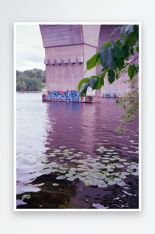 桥下水面浮萍与涂鸦-众图网