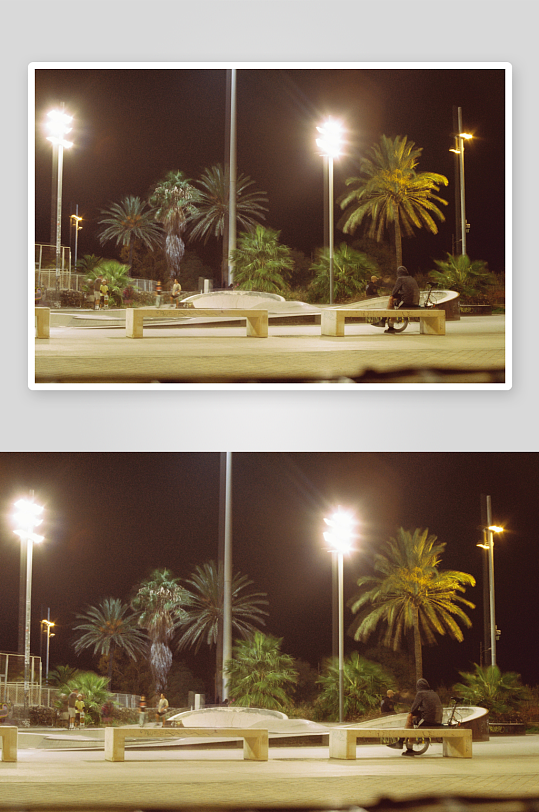 夜晚公园的灯光与棕榈树-众图网